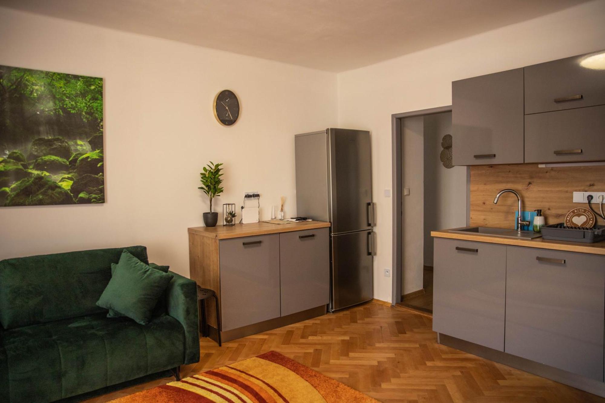 Prostorny Byt V Centru U Reky, 2 Loznice, Balkon Градець-Кралове Екстер'єр фото